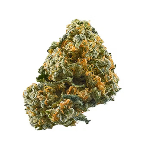 Solomon Grundy