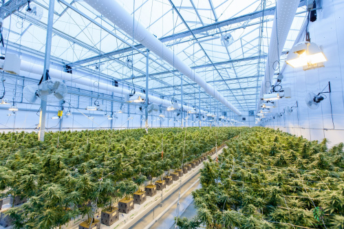 Wholesale